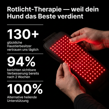 HealMyPet Rotlicht Gürtel
