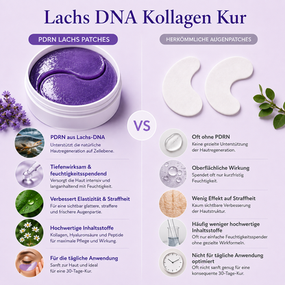 Lachs DNA Kollagen Kur
